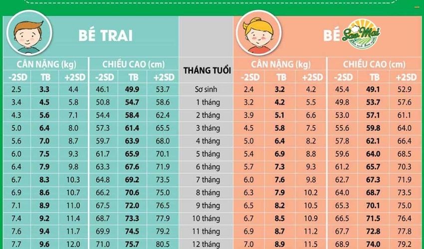 Trang chủ 42 Bảng chiều cao cân nặng bé 1 tuổi theo tiêu chuẩn y khoa thế giới