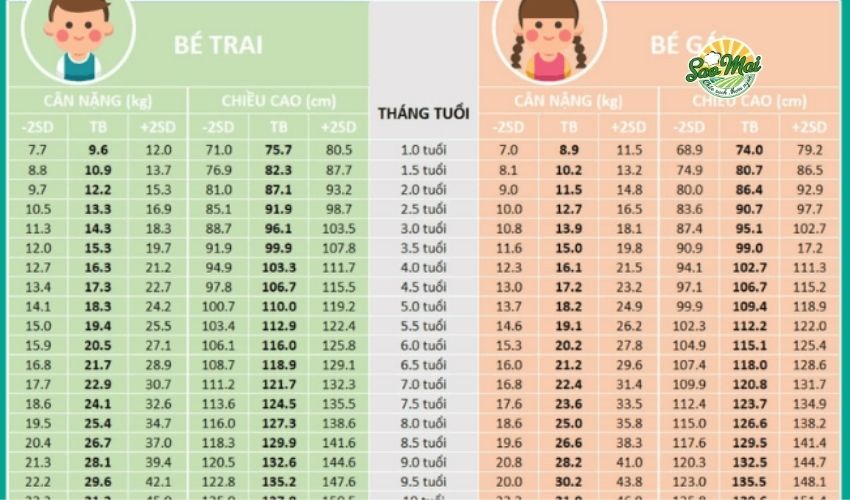 Thông tin về chiều cao cân nặng bé 2 tuổi theo chuẩn của WHO 1 Bảng chiều cao cân nặng chuẩn WHO cho bé 2 tuổi là công cụ hữu ích để theo dõi sự phát triển