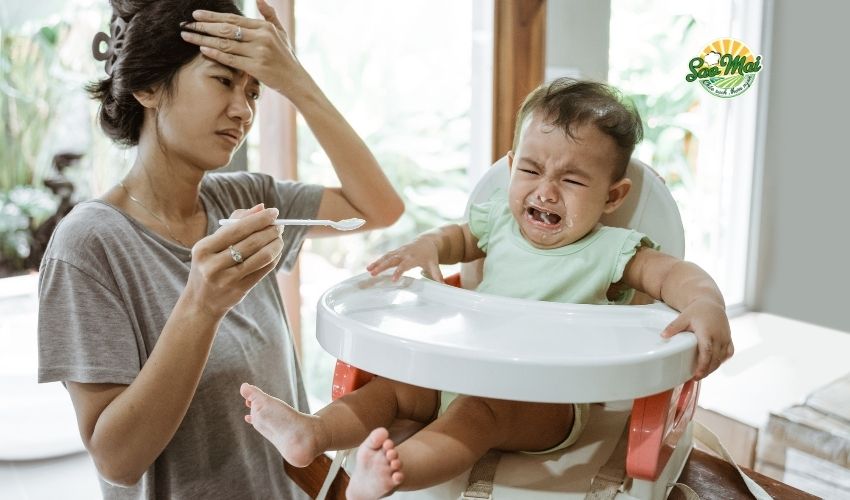 Top những loại cháo dinh dưỡng giúp bé biếng ăn ăn ngon trở lại 1 Hiểu rõ nguyên nhân giúp cha mẹ tìm ra giải pháp đúng đắn cho bé biếng ăn