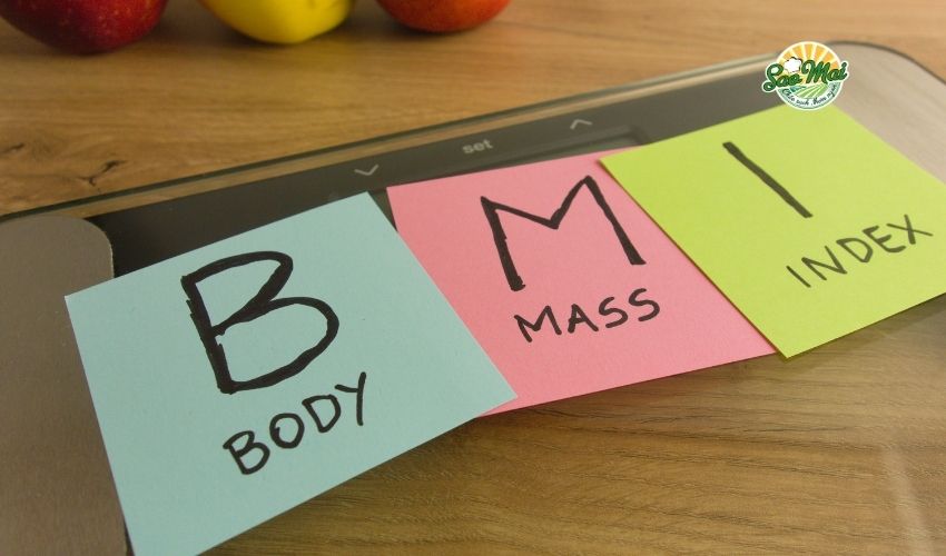 Hướng dẫn cách tính BMI cho trẻ em và đánh giá thể chất