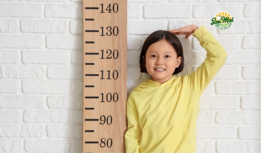 Theo dõi chỉ số chiều cao cân nặng bé 5 tuổi là yếu tố then chốt cho sự phát triển của trẻ