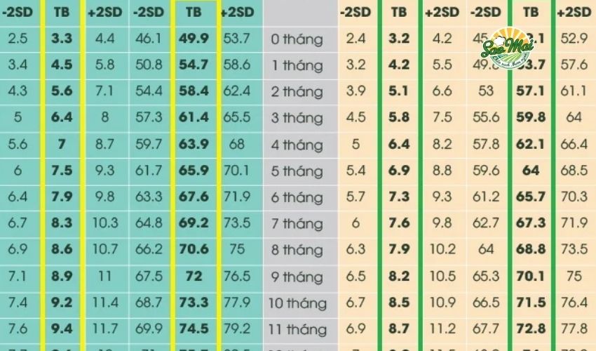 Thông tin về chiều cao cân nặng bé theo tháng chuẩn WHO 2025
